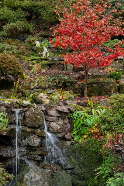 istock Waterfall in Autumn Garden 1086004170