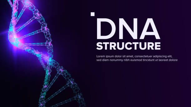 Dna Structure Vector. Genetic Molecule. Clone Atom. Mutation Test. Illustration Dna Structure Vector. Biotechnology Concept. Biochemistry Flyer Illustration human genome map stock illustrations