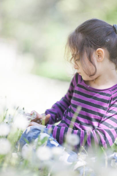 istock Little girl collecting dandelions 1086011504