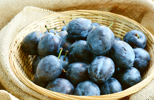 Plums or Zwetschke More than a hundred varieties are grown in Central Europe.