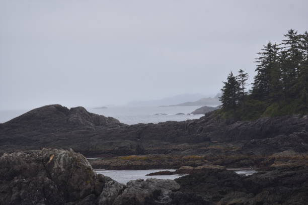 istock Victoria Island - British Columbia 1086014178