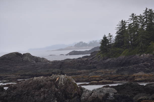 istock Victoria Island - British Columbia 1086014182