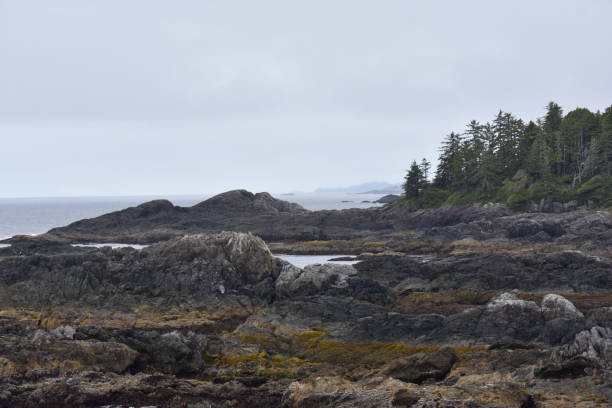 istock Victoria Island - British Columbia 1086014202