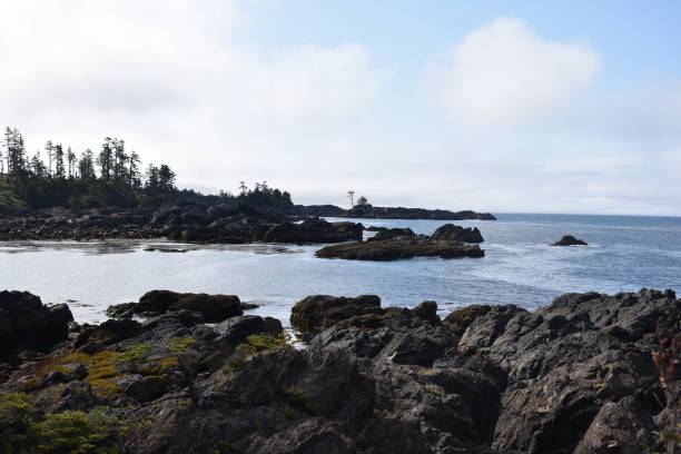 istock Victoria Island - British Columbia 1086014282