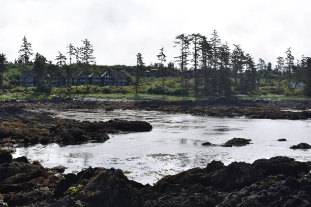 istock Victoria Island - British Columbia 1086014306