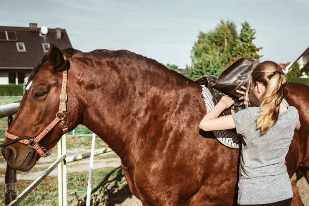 istock Saddle of a horse 1086016398