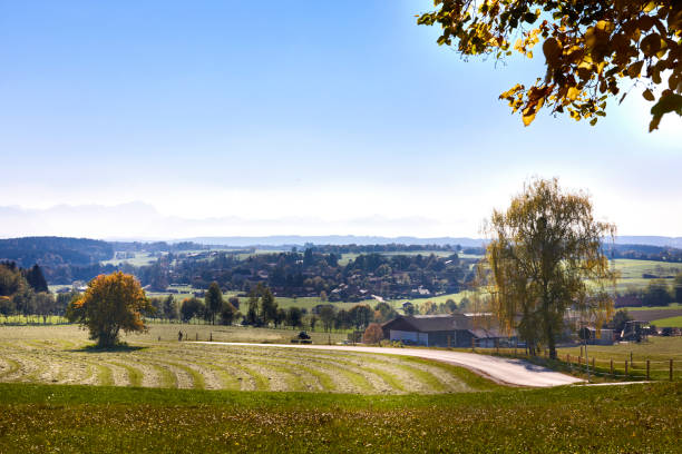 istock Country road on an afternoon 1086018162