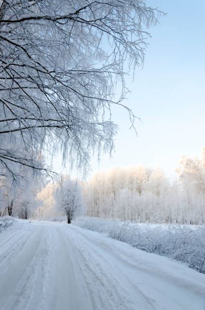 istock Road in the winter morning forest 1086023148