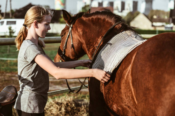 istock Girl saddling a horse 1086026818