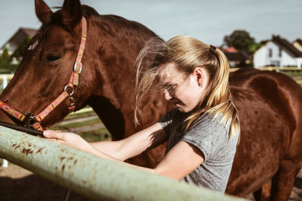 istock Girl saddling a horse 1086029020