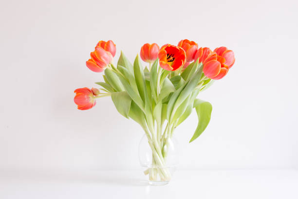 110+ Flower Dying Sequence Stock Photos, Pictures & Royalty-Free Images ...