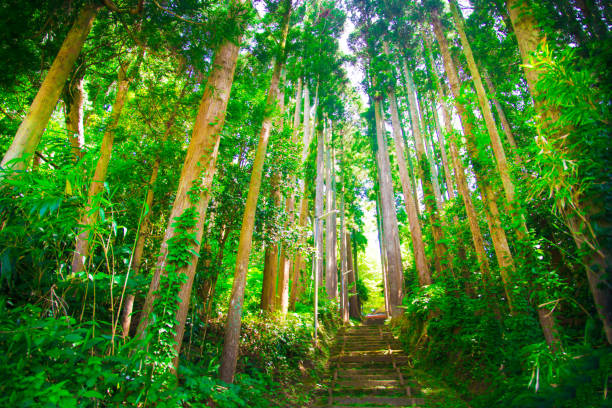 istock Small nature in Toyama, Japan 1086035308