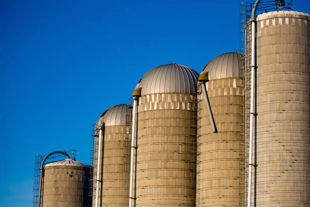 istock Five silos at different heights in front of a blue sky 1086045276