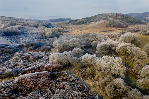 winter, drone view