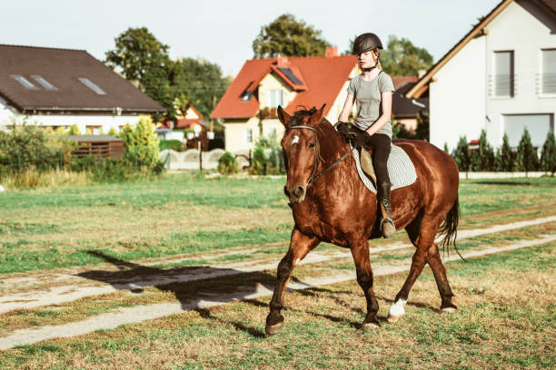 istock Young girl riding a horse 1086054102