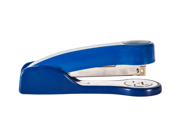 Blue office stapler with metal brackets are isolated on white background