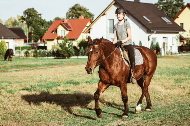 istock The rider on the horse 1086055766