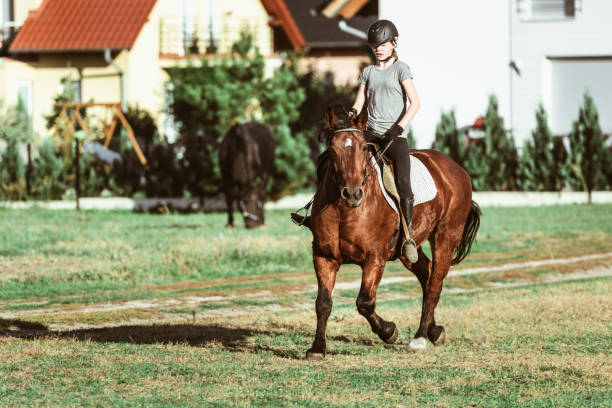 istock Young girl riding a horse 1086060080
