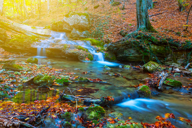 istock small brook flow through the autumn  canyon 1086069650