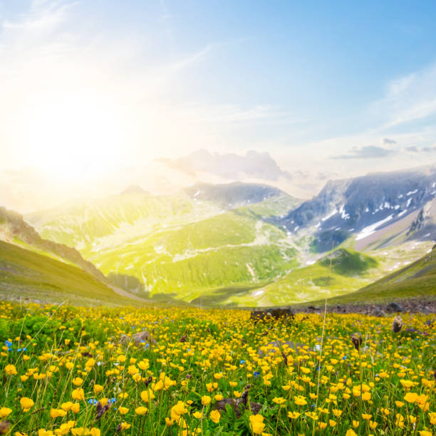 istock beautiful mountain valey early morning landscape 1086070266