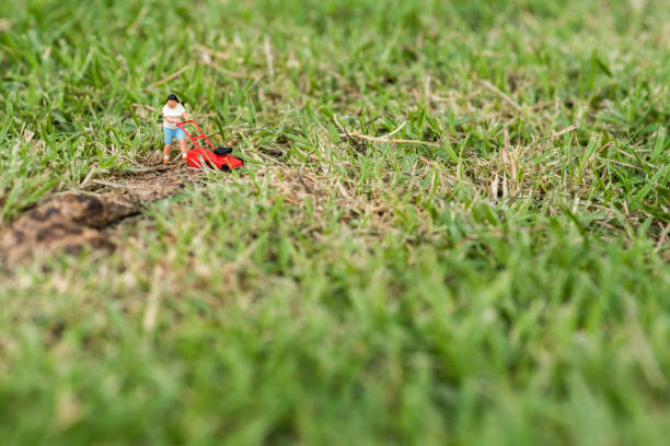 istock Small Figurine On Grassy Field 1086076282