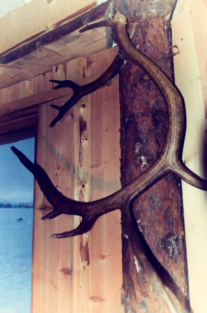 istock LAPONIA-LAPLAND 1086076468