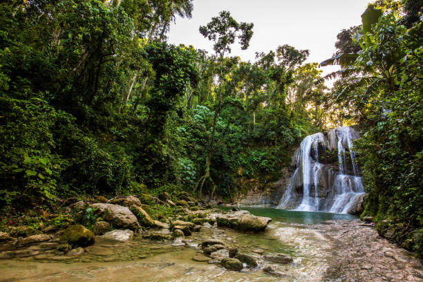 美麗的戈紮蘭迪亞瀑布在聖塞巴斯蒂安波多黎各 - 波多黎各 個照片及圖片檔