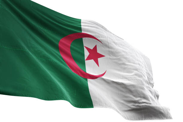 Algeria flag close-up waving isolated white background realistic 3d illustration