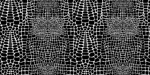 Vector seamless pattern with crocodile or alligator skin. Black and white wallpaper. Vector seamless pattern with crocodile or alligator skin. Black and white wallpaper. animal imitation stock illustrations