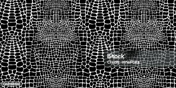 Vector Seamless Pattern With Crocodile Or Alligator Skin Black And White Wallpaper Stock Illustration - Download Image Now