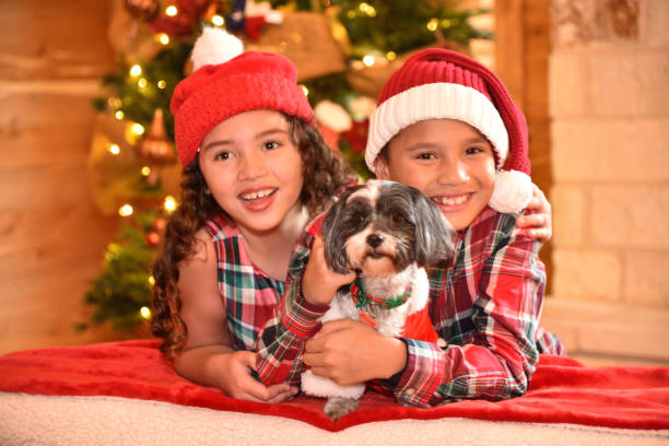 istock Siblings celebrating the Christmas in a cozy cabin 1086089784