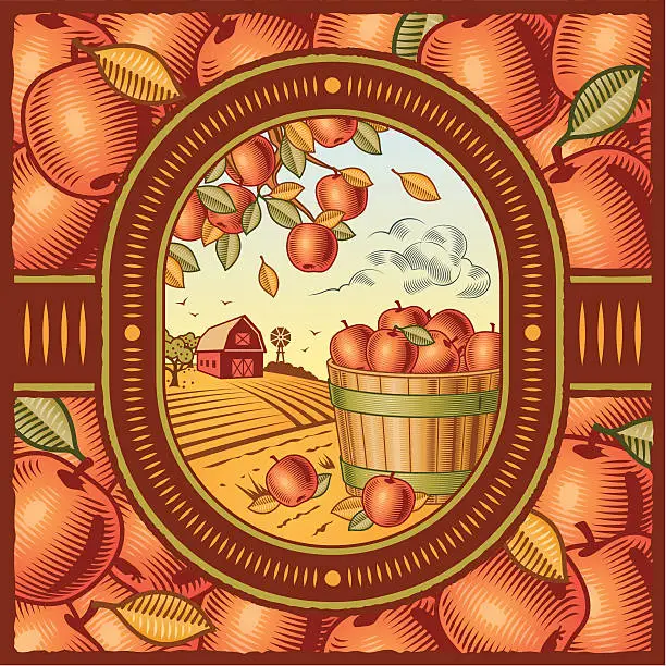 Vector illustration of Apples in a barrel near a barn on an apple motif background