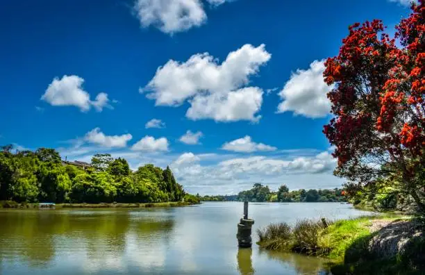 Photo of Waiuku River with clouds and pohutukawa tree in bloom, Waiuku NZ