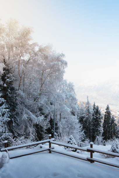 istock Snow in small backyard and woods 1086130676