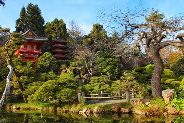 jardim de chá japonês, san francisco golden gate park, san francisco, califórnia - tibetan buddhism fotos - fotografias e filmes do acervo