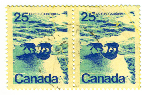 Polar Bear Stamp
