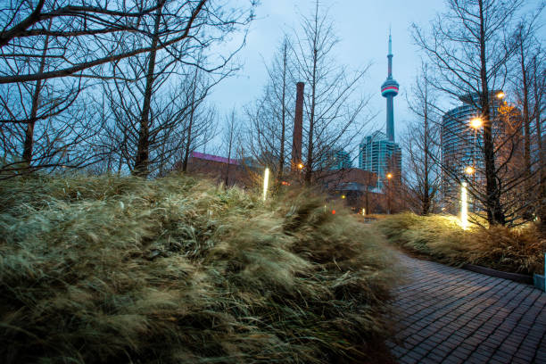 The Toronto city skyline during the early morning hours.