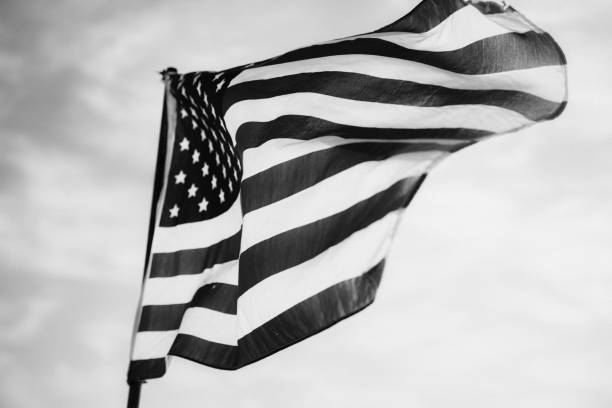 istock Waving American Flag in Black and White 1086149886