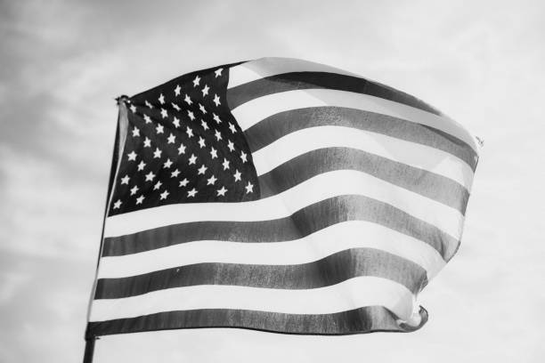 istock Waving American Flag in Black and White 1086149894