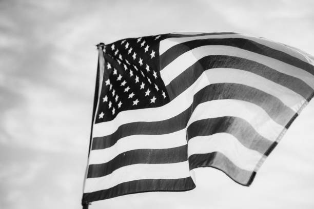 istock Waving American Flag in Black and White 1086149914