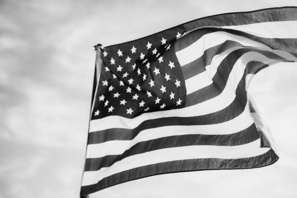 istock Waving American Flag in Black and White 1086149918