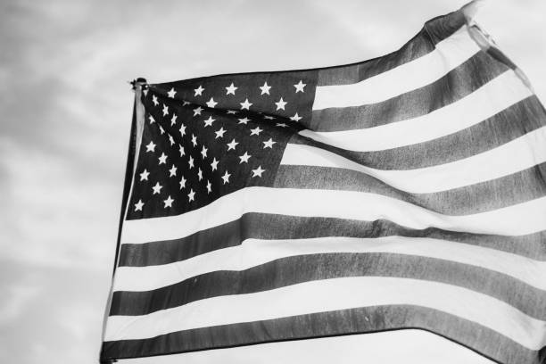 istock Waving American Flag in Black and White 1086149922
