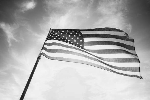 istock Waving American Flag in Black and White 1086150050