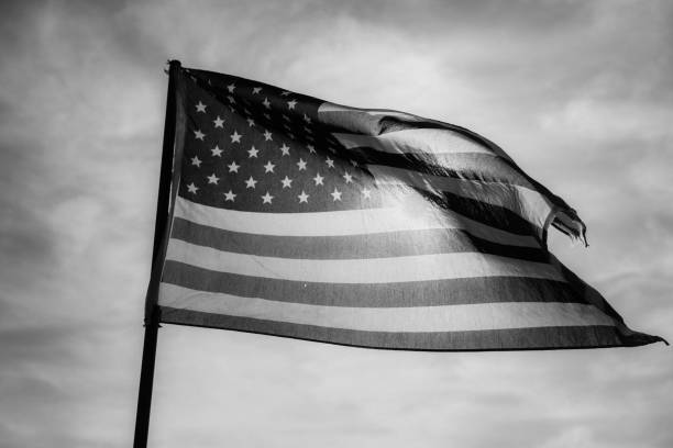 istock Waving American Flag in Black and White 1086150086