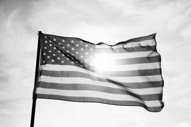 istock Waving American Flag in Black and White 1086150090
