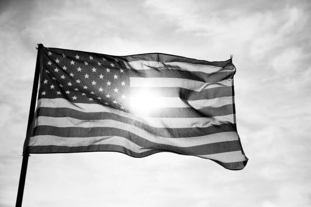 istock Waving American Flag in Black and White 1086150112
