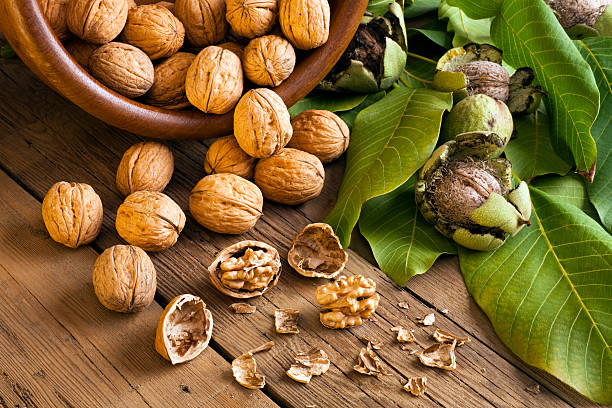 Walnuts Walnuts walnut stock pictures, royalty-free photos & images