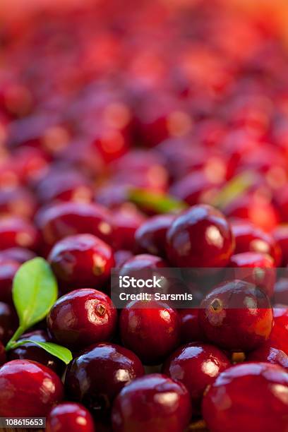 Foto de Amoras Vermelhas Frescos e mais fotos de stock de Alimentação Saudável - Alimentação Saudável, Baga - Fruta, Colheita