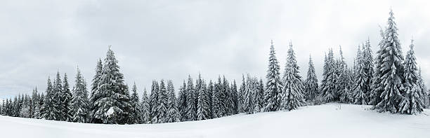 istock Carpathians. Mountains cowered with snow 108617481