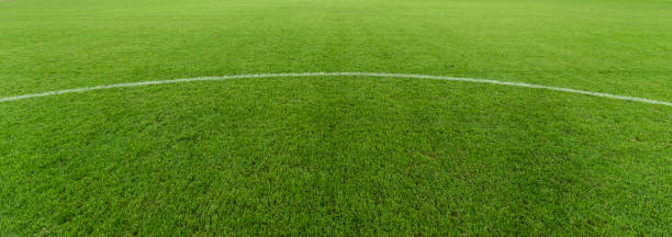 istock Neatly lush football pitch close-up 1086175146